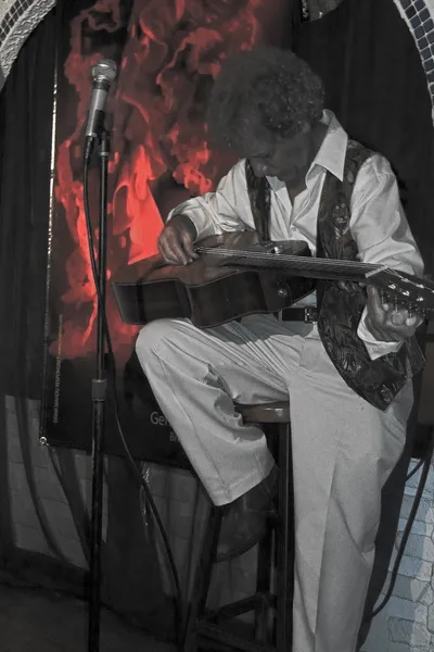 Flamenco___Panza