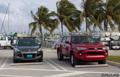 Ford_Escape_y_Toyota_4_Runner