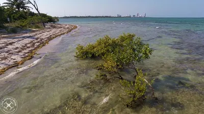 Crandon_Park__Key_Biscayne