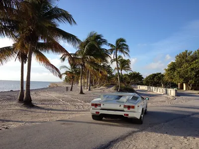 Lamborghini_Countach_25th_Anniversary_Edition