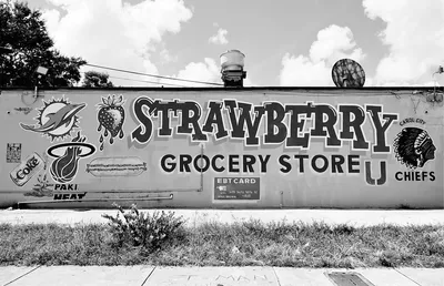strawberrygrocerystorecarolcity