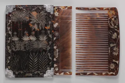 Comb_case_with_two_wig_combs