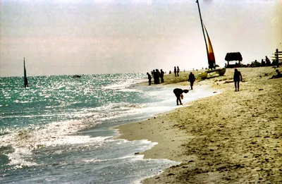 Catamaran_Sailing_Boat___Water_Sports_at_the_Atlantic_Ocean_Beachfront_Miami_Beach_Florida_USA_March_1983_004
