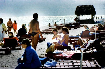 Sunbathing_Lovely_Bikini_Girls_at_the_Atlantic_Ocean_Beachfront_Miami_Beach_Florida_USA_March_1983_020