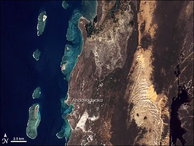 Coral_Reefs_of_Southwest_Madagascar__Image_of_the_Day