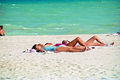Girls___Women_Sunning__Hollywood_Beach__1984