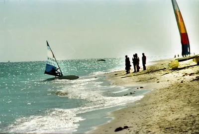Catamaran_Sailing_Boat___Water_Sports_at_the_Atlantic_Ocean_Beachfront_Miami_Beach_Florida_USA_March_1983_012