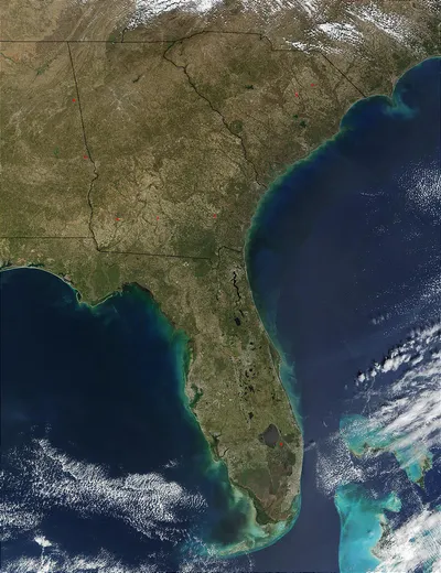 The_Everglades