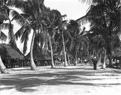 Looking_east_on_Avenue_of_Palms_during_the_annual_Biscayne_Bay_Yacht_Club_chowder_party