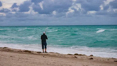 Hallandale_Beach__Florida__USA._Winter_trip_2024_25