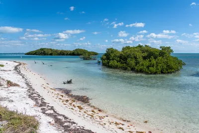Boca_Chita_Key__Biscayne_National_Park