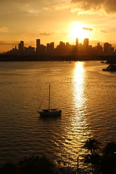 _____Good_evening_Miami._Reflection_on_the_bay.