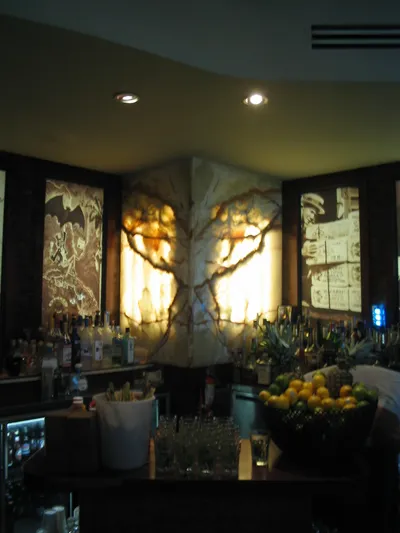 Butterfly_Marble_above_Bar_at_Larios_IMG_3388