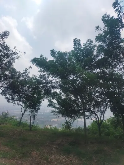 Gunung_Pucak_Salam_Kampung_Cireundeu.jpg