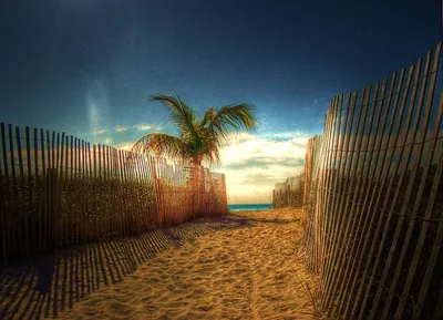 Lummus_Path_-_South_Beach