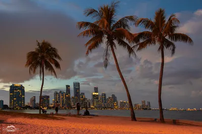 keybiscayne_june_2023-11