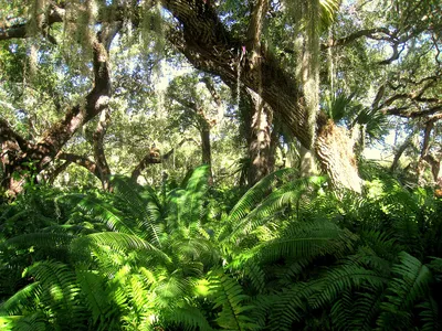 Villa_Vizcaya_-_IMG_8065.JPG