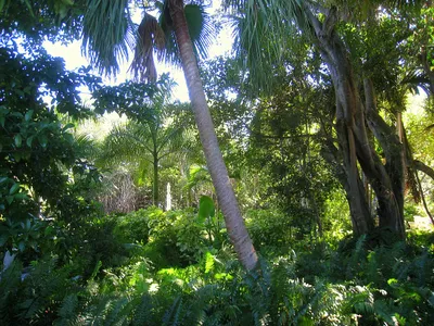 Villa_Vizcaya_-_IMG_8080.JPG