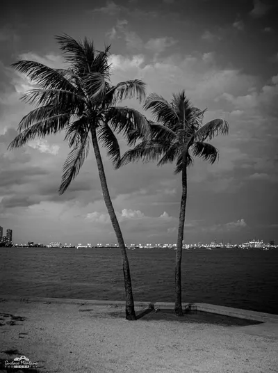 keybiscayne_june_2023-12