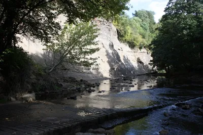 River_bank_of_the_Murk_Esk_-_geograph.org.uk_-_1504799.jpg