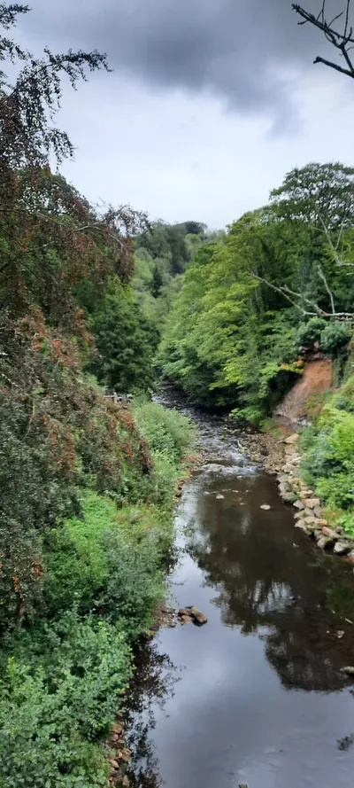Murk_Esk_-_geograph.org.uk_-_8268800.jpg