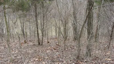 Turtle_Creek_Embankment_down_to_base.jpg