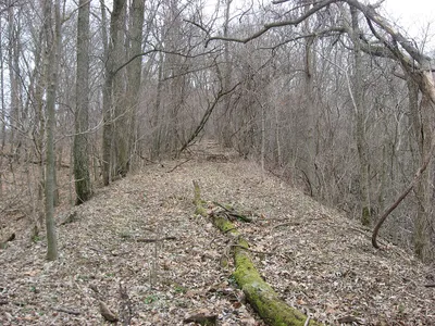 Turtle_Creek_Embankment_towpath.jpg