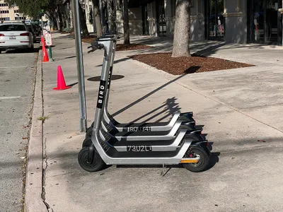 Bird_Scooters_in_Coral_Gables_FL__October_2022.jpg