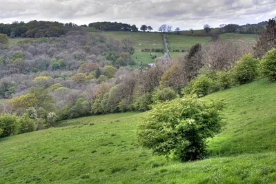 Murk_Esk_Valley_-_geograph.org.uk_-_1299478.jpg