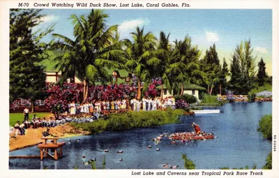 Coral_Gables_-_Crowd_watching_wild_duck_show__Lost_Lake.jpg