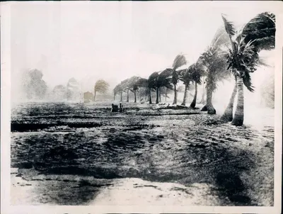 Yankee_hurricane_damage_pic_2__November_4__1935.jpg