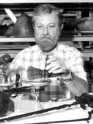 George_R._Fischer_works_in_the_Southeast_Archaeological_Center_-_Tallahassee__Florida__cropped_.jpg